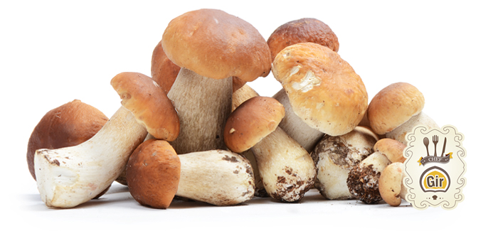 champignon